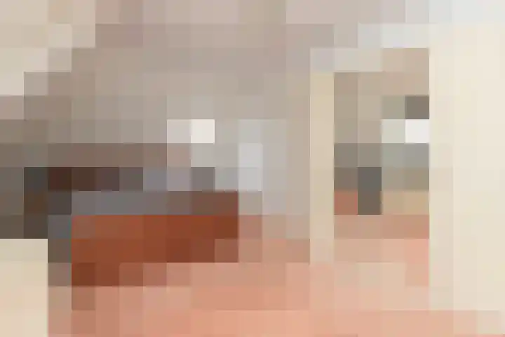 Barbarakruid 8 Puttershoek thumbnail 38