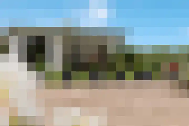 Barbarakruid 8 Puttershoek thumbnail 5