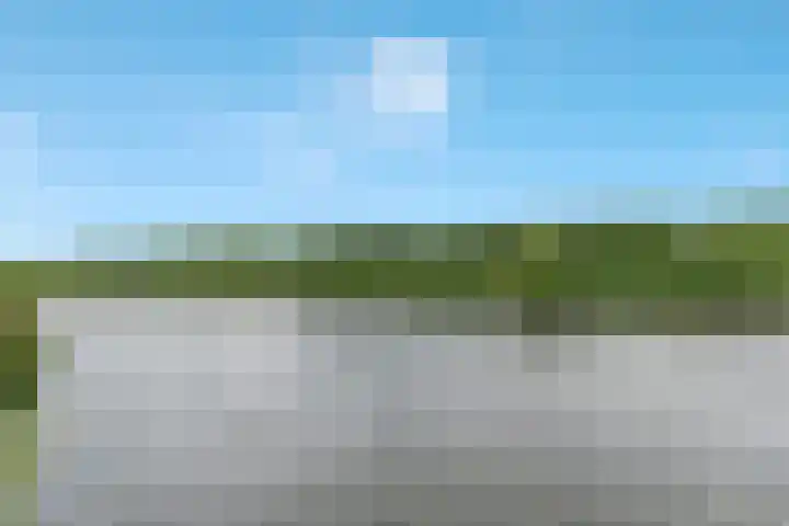 Barbarakruid 8 Puttershoek thumbnail 7