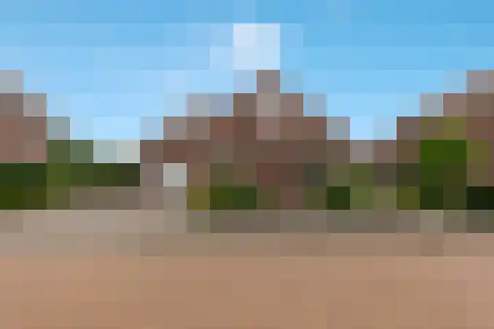 Barbarakruid 8 Puttershoek thumbnail 8