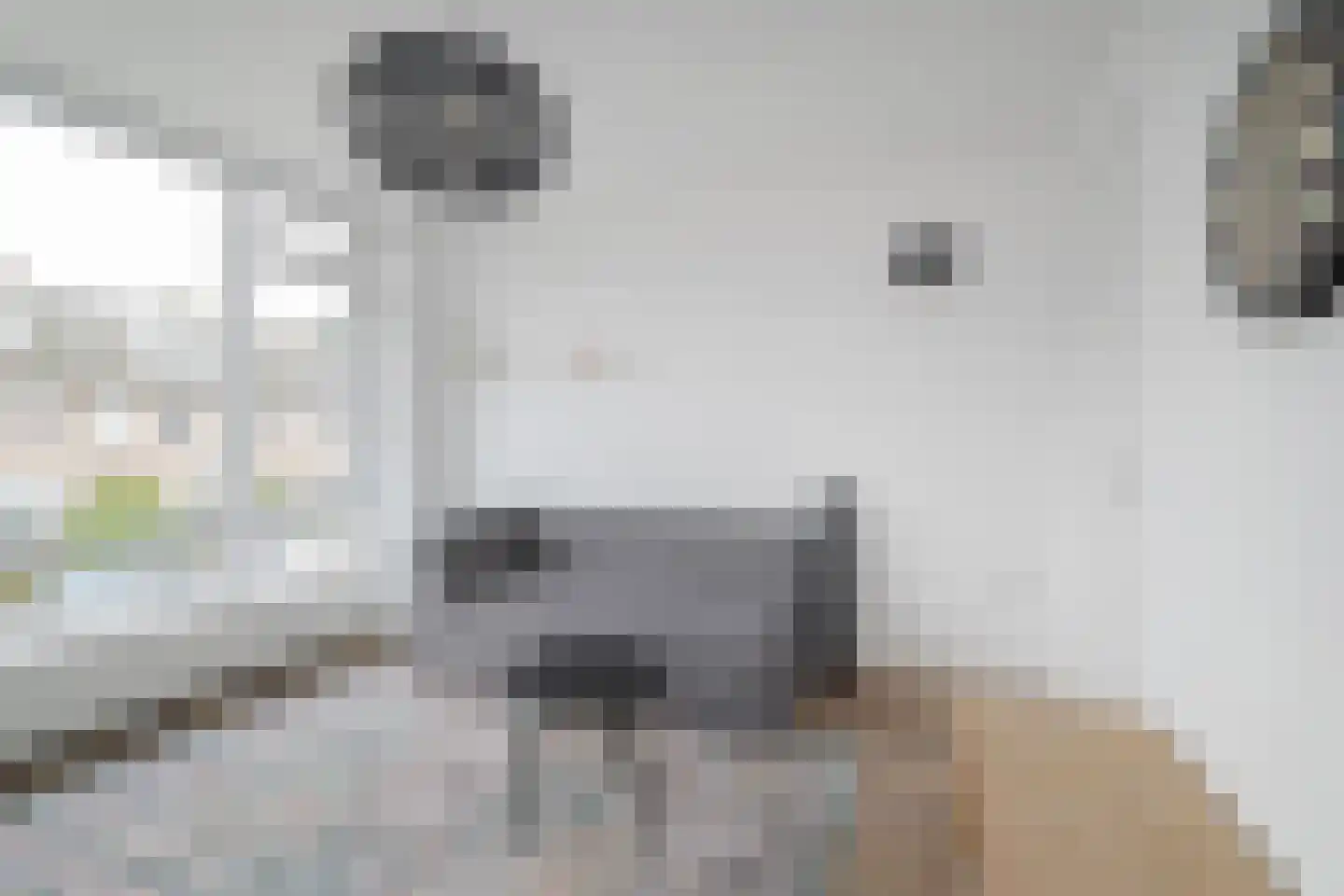 Barbaralaan 115 Breda thumbnail 31