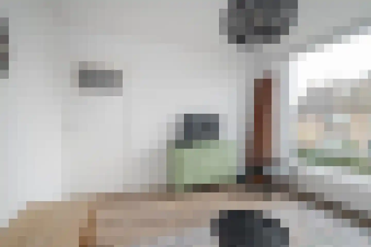 Barbaralaan 115 Breda thumbnail 34