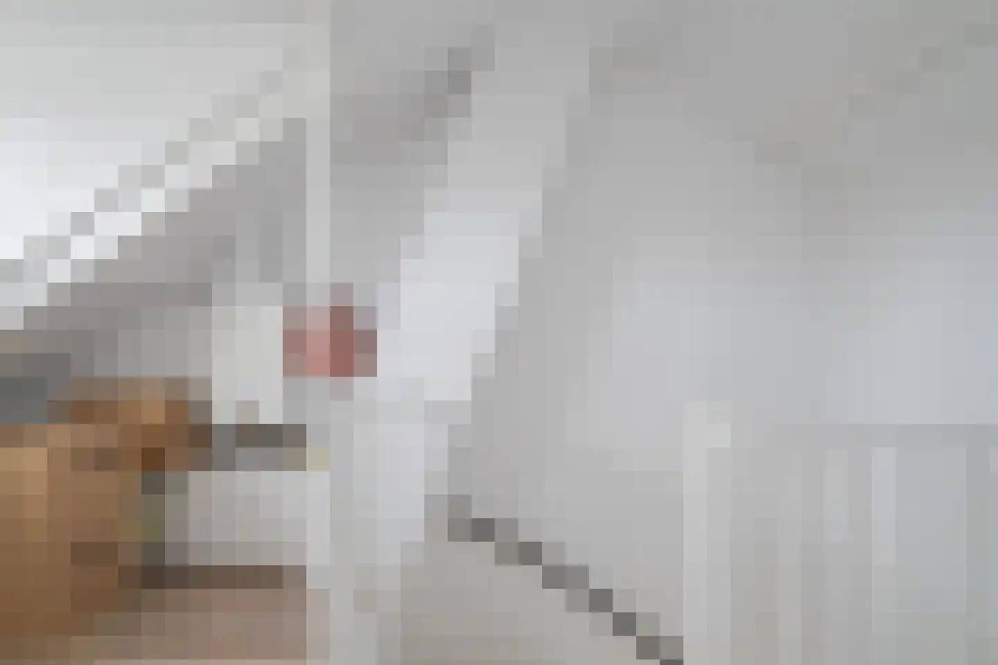 Barbaralaan 115 Breda thumbnail 42