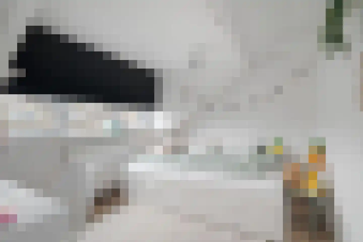 Barbaralaan 115 Breda thumbnail 44
