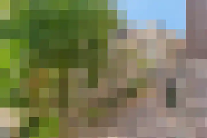 Barbaraplaats 39 's-Hertogenbosch thumbnail 6