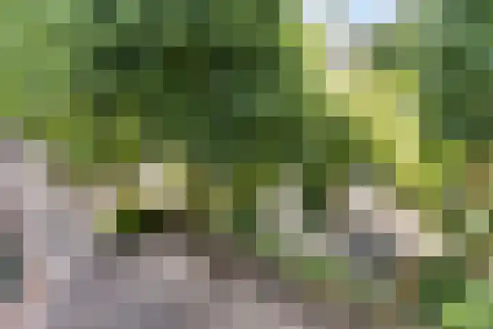 Barbaraplaats 39 's-Hertogenbosch thumbnail 7