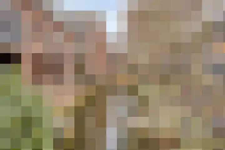 Barbaraplaats 8 's-Hertogenbosch thumbnail 22