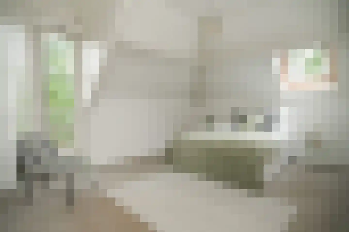 Barbaraplaats 81 's-Hertogenbosch thumbnail 13