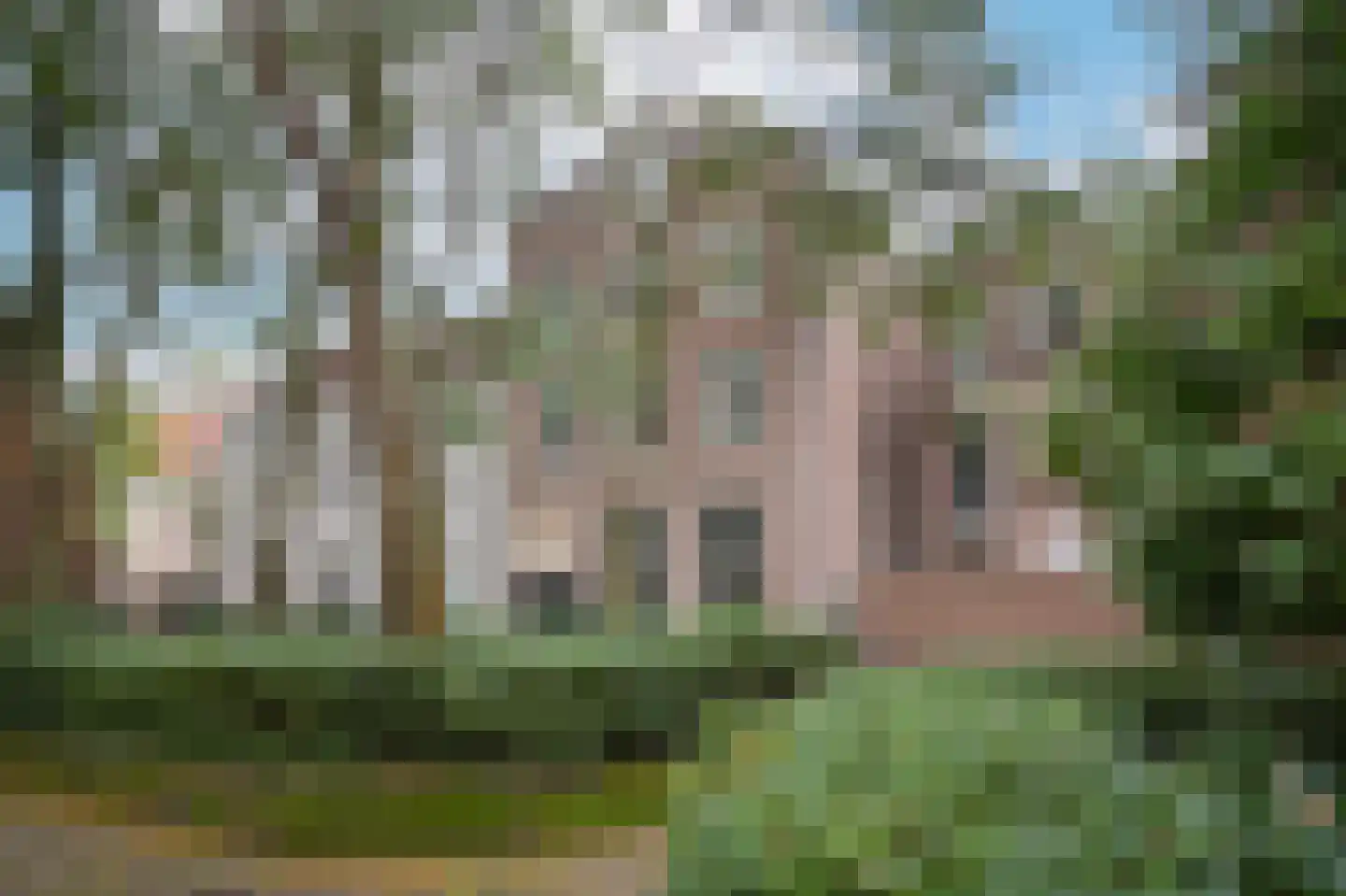 Barbaraplaats 81 's-Hertogenbosch thumbnail 25