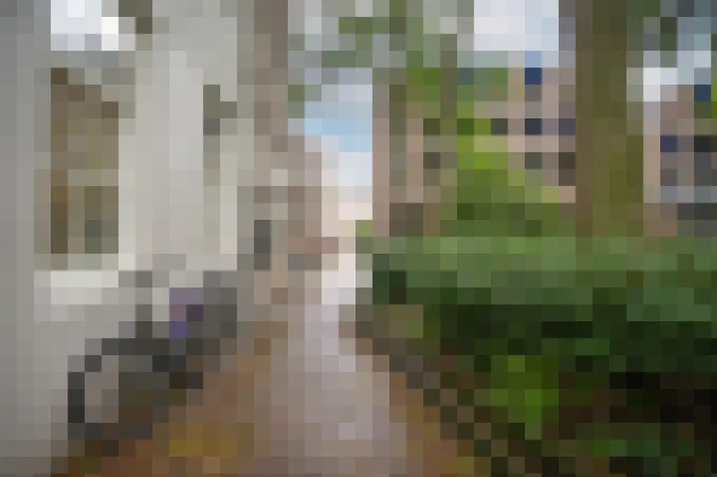 Barbaraplaats 81 's-Hertogenbosch thumbnail 28