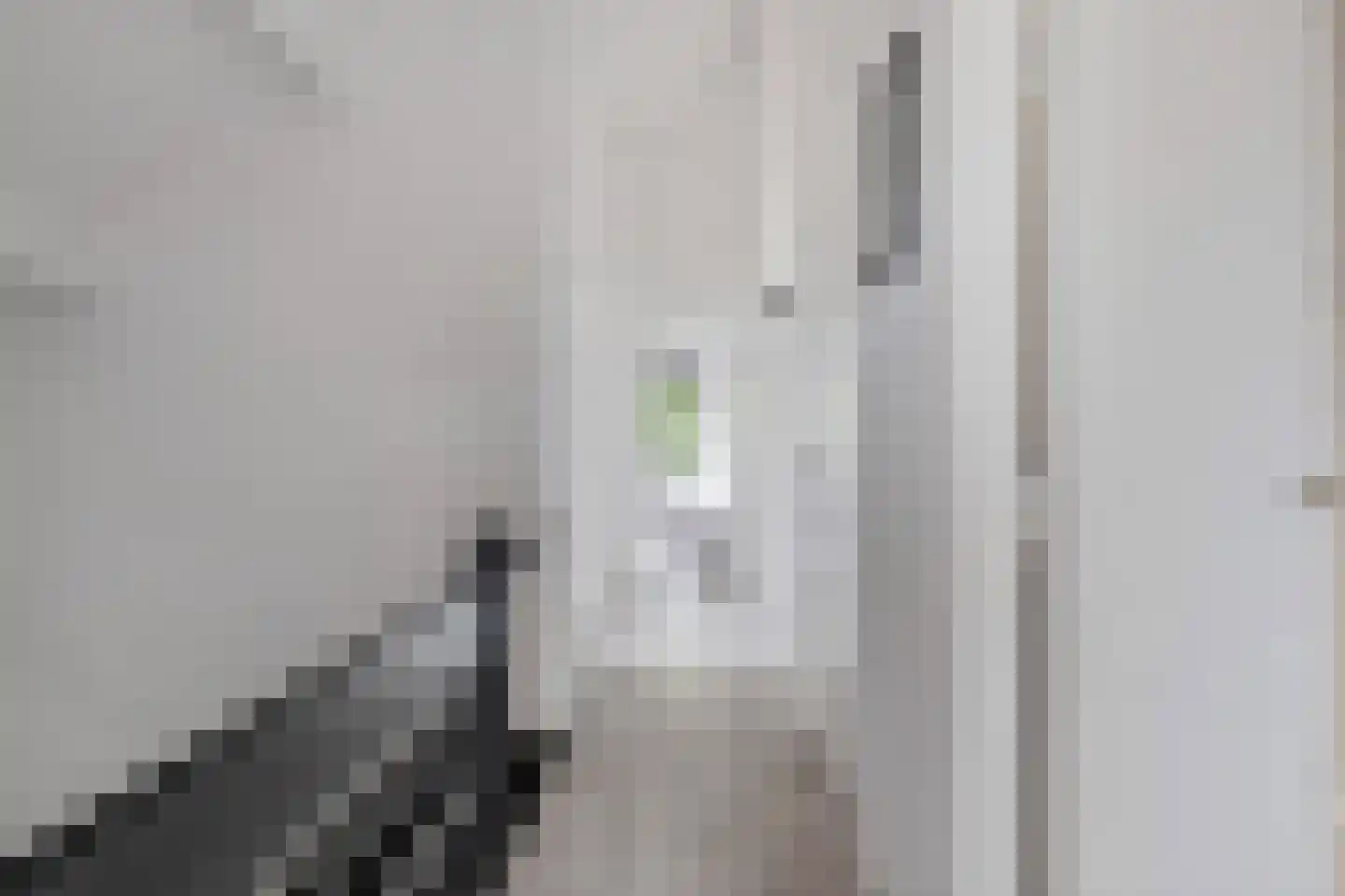 Barbarastraat 11 Helden thumbnail 30