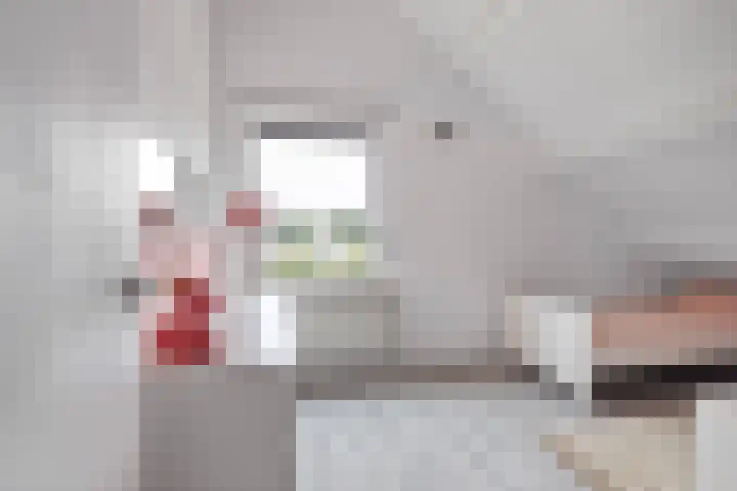 Barbarastraat 11 Helden thumbnail 32