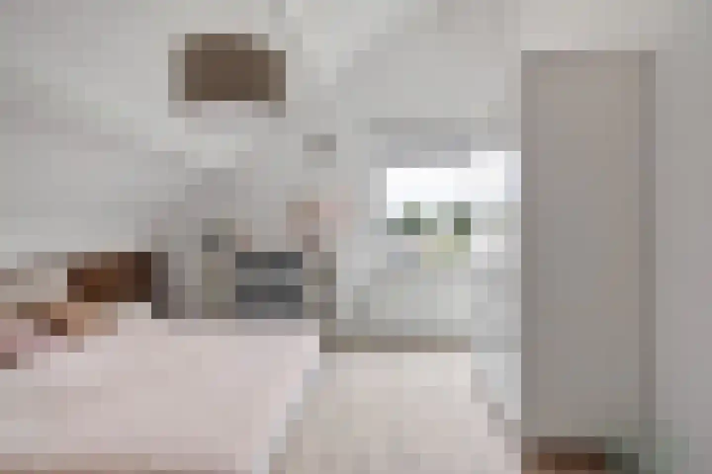 Barbarastraat 11 Helden thumbnail 35