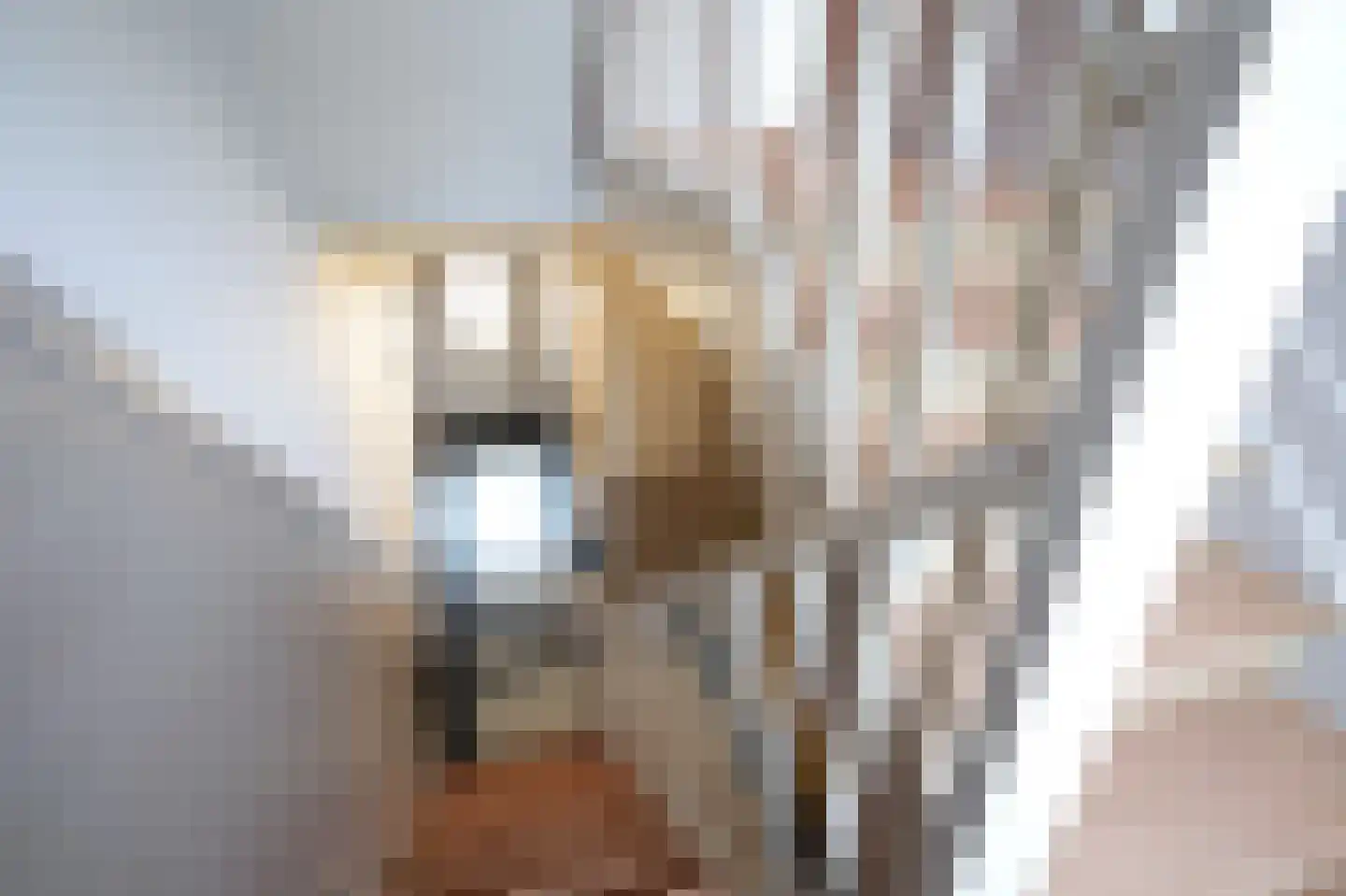 Barbarastraat 21 Kerkrade thumbnail 19
