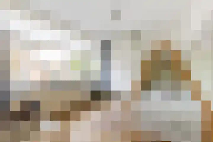 Barbarastraat 3 Helvoirt thumbnail 16