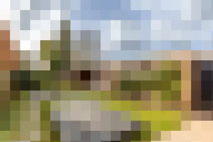 Barbarastraat 3 Helvoirt thumbnail 29