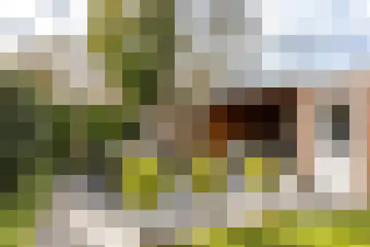 Barbarastraat 3 Helvoirt thumbnail 30