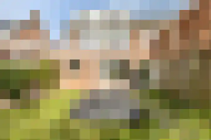 Barbarastraat 3 Helvoirt thumbnail 34