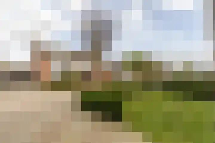 Barbarastraat 3 Helvoirt thumbnail 36