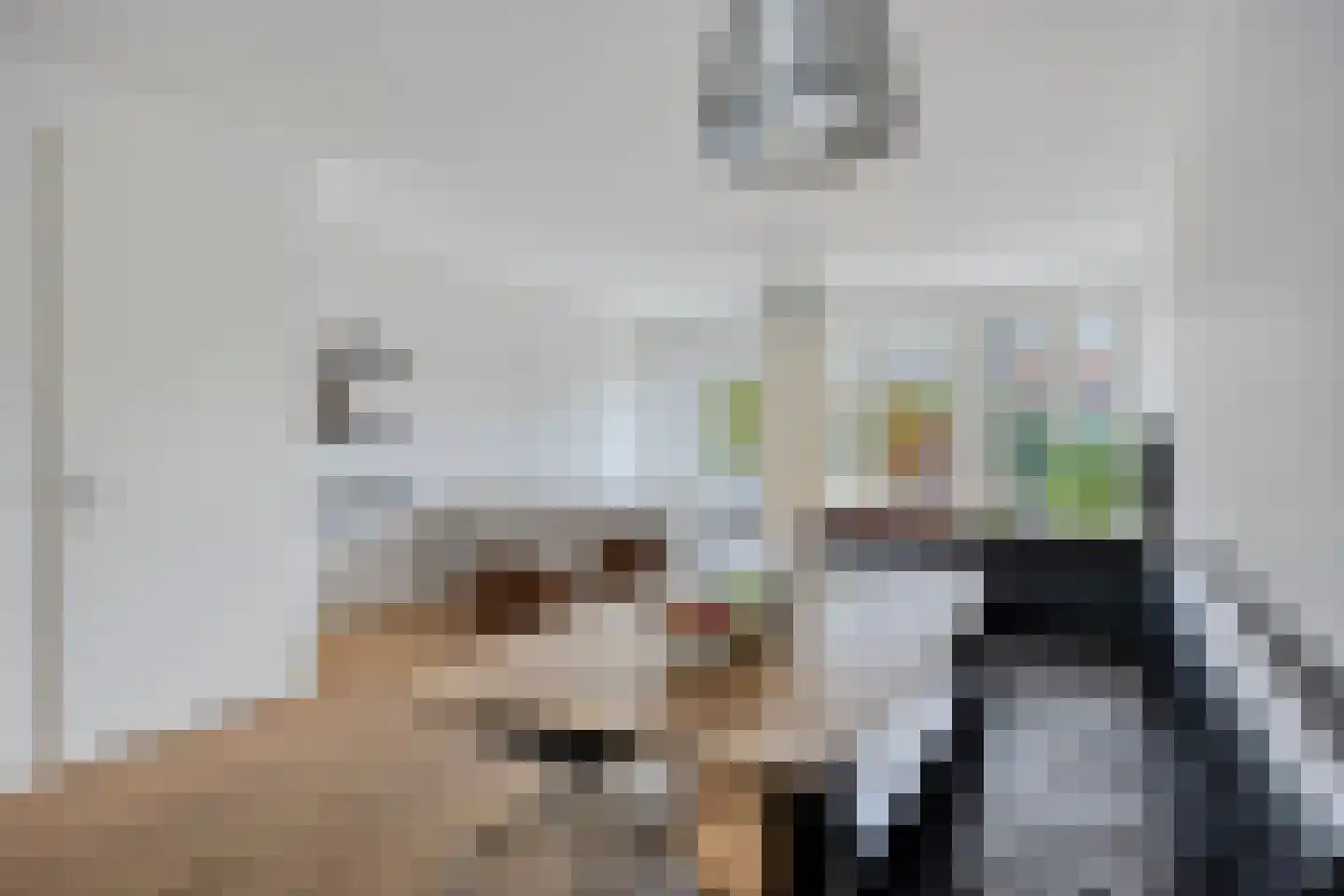 Barbarastraat 30 Lent thumbnail 10