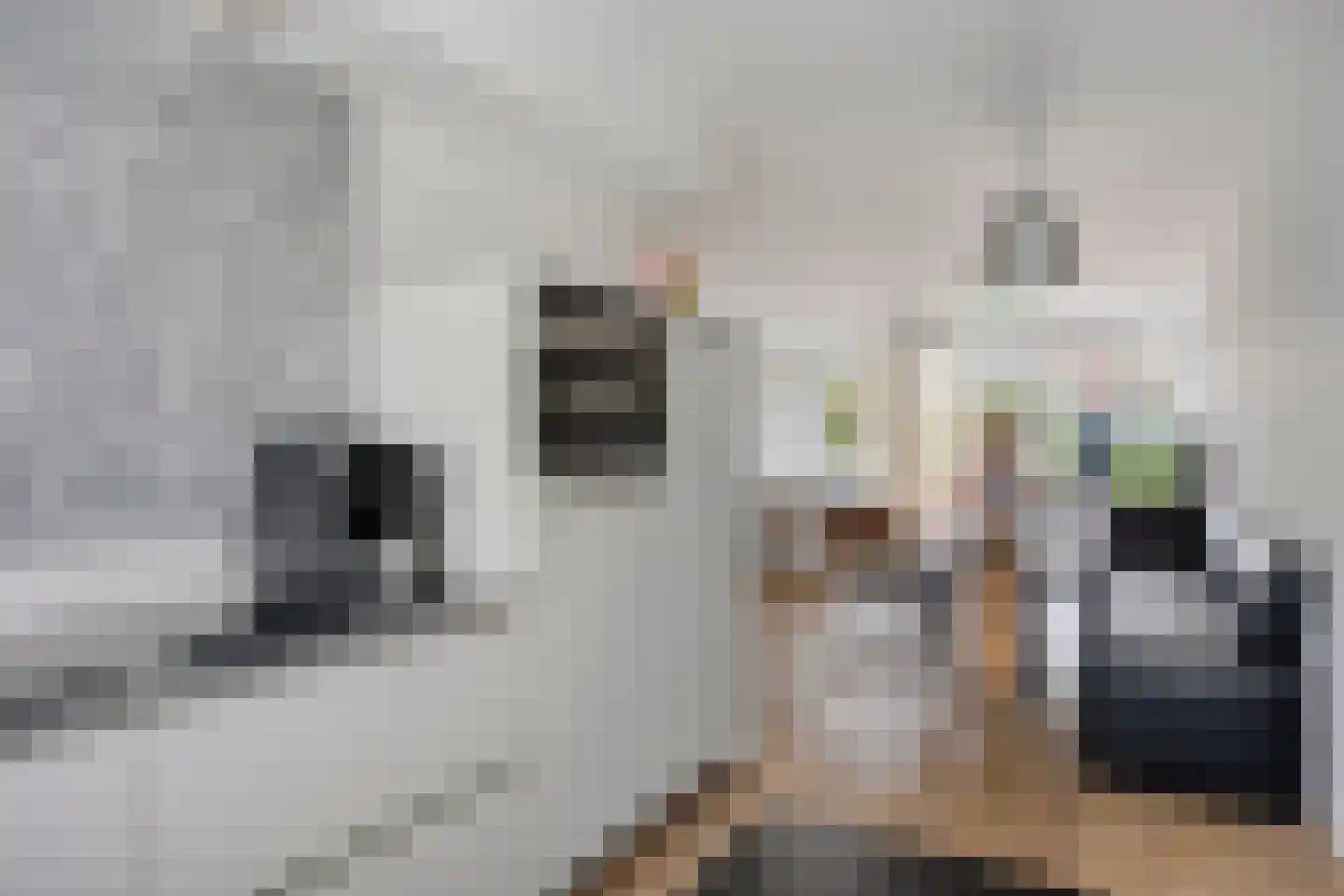Barbarastraat 30 Lent thumbnail 12