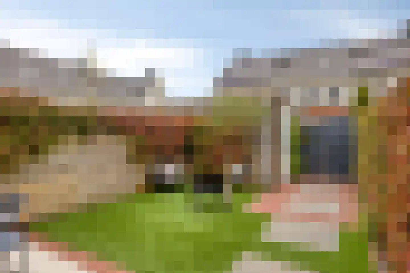 Barbarastraat 30 Lent thumbnail 25