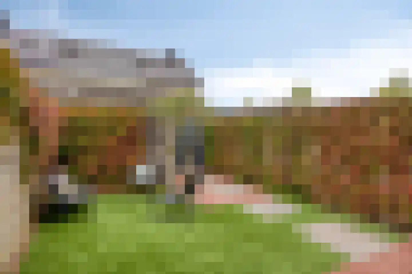 Barbarastraat 30 Lent thumbnail 26
