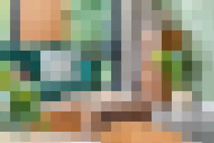Barbarastraat 42 Lent thumbnail 10