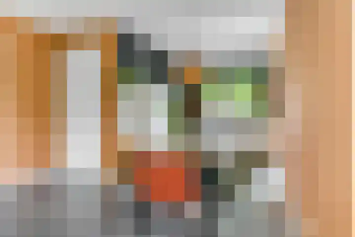 Barbarastraat 42 Lent thumbnail 13