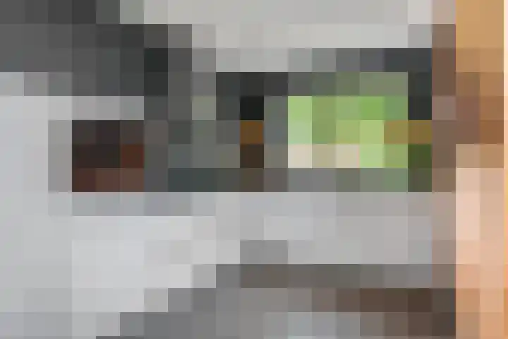 Barbarastraat 42 Lent thumbnail 14