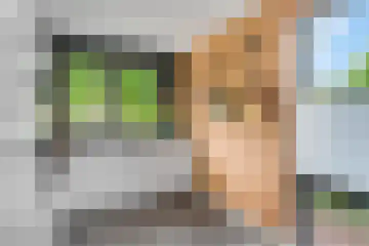 Barbarastraat 42 Lent thumbnail 15