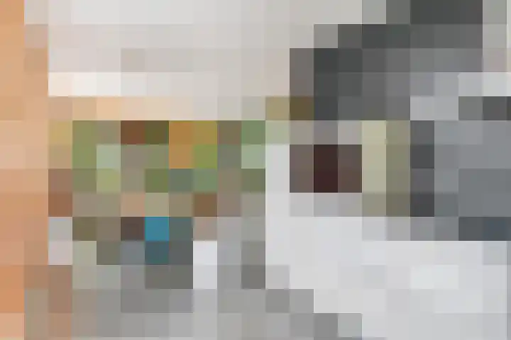 Barbarastraat 42 Lent thumbnail 16