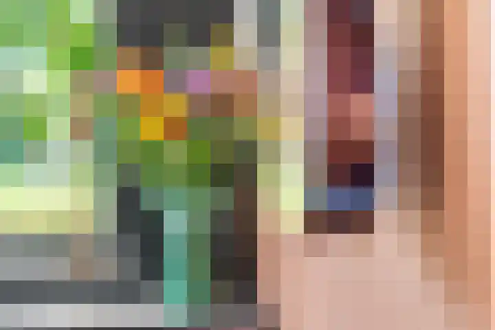 Barbarastraat 42 Lent thumbnail 18