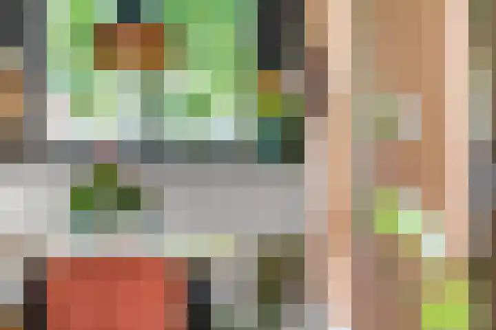 Barbarastraat 42 Lent thumbnail 20