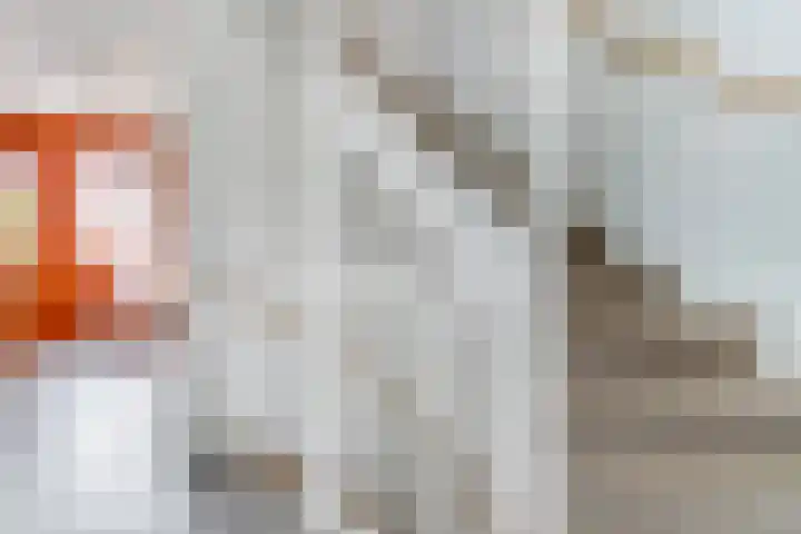Barbarastraat 42 Lent thumbnail 23