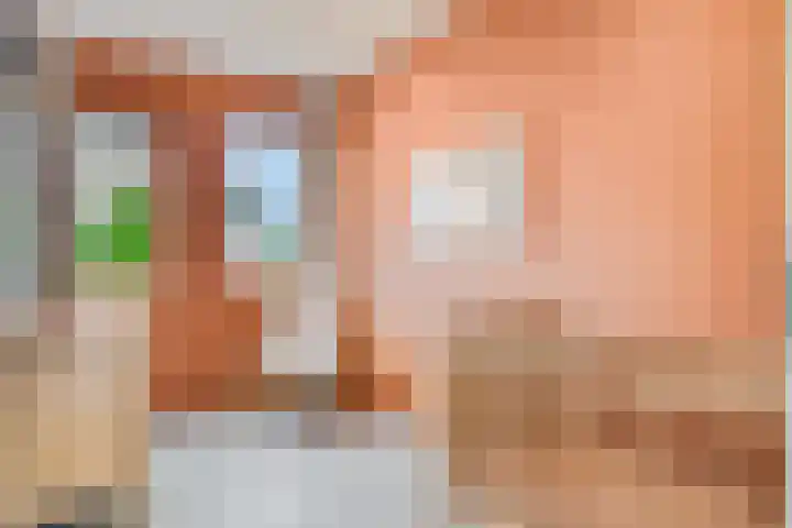 Barbarastraat 42 Lent thumbnail 24