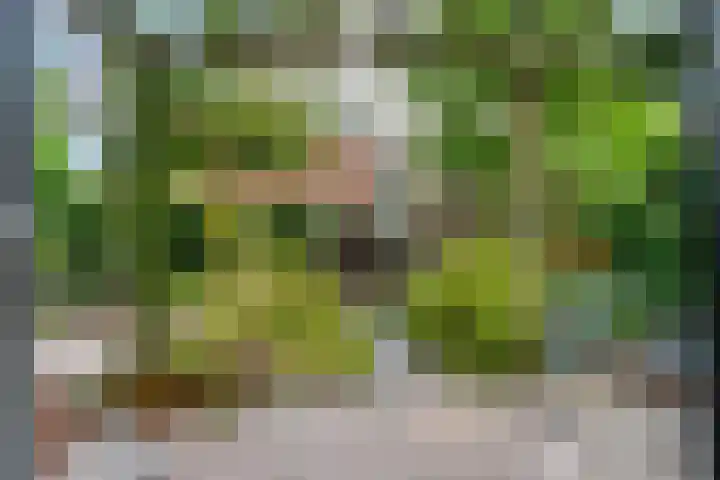 Barbarastraat 42 Lent thumbnail 38