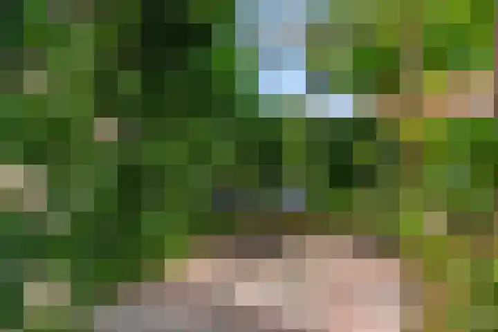 Barbarastraat 42 Lent thumbnail 39