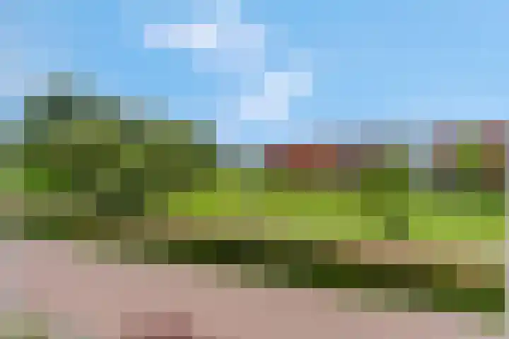 Barbarastraat 42 Lent thumbnail 4