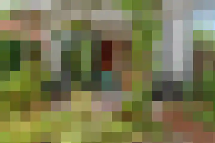 Barbarastraat 42 Lent thumbnail 40