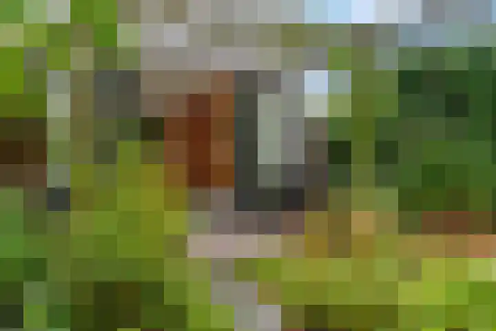 Barbarastraat 42 Lent thumbnail 41