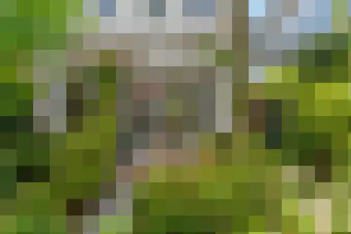 Barbarastraat 42 Lent thumbnail 42