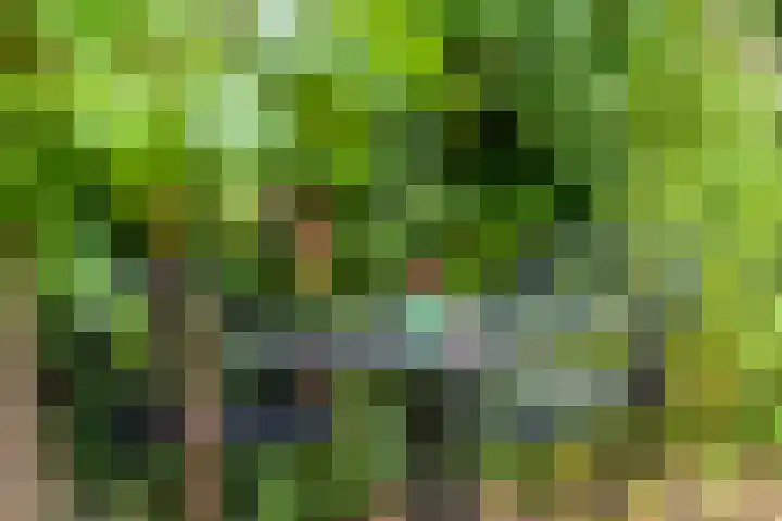 Barbarastraat 42 Lent thumbnail 43