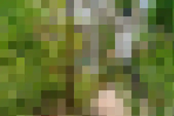 Barbarastraat 42 Lent thumbnail 44