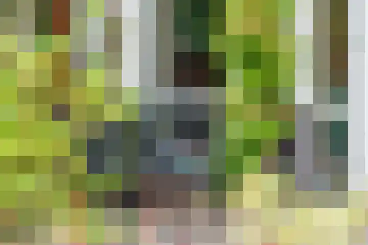 Barbarastraat 42 Lent thumbnail 45
