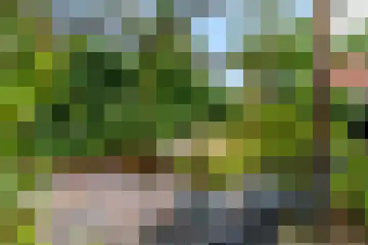 Barbarastraat 42 Lent thumbnail 47