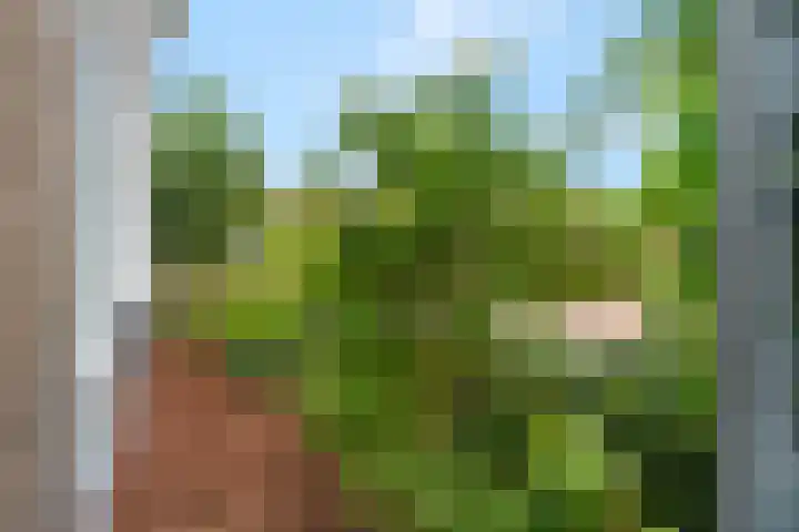 Barbarastraat 42 Lent thumbnail 48