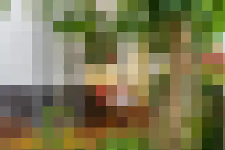 Barbarastraat 42 Lent thumbnail 49