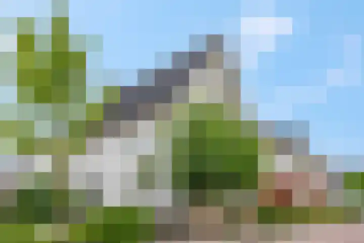 Barbarastraat 42 Lent thumbnail 51