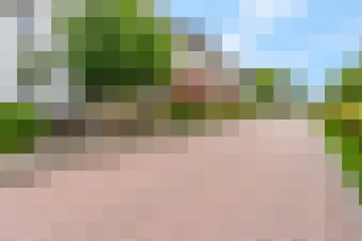 Barbarastraat 42 Lent thumbnail 52